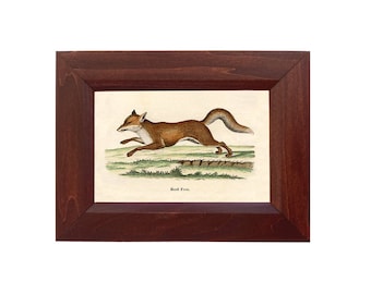 Small Fox Print, Vintage Fox Illustration, Cozy Cabin Decor