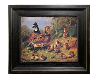 A Brace of Quail and Young Feeding Framed Oil Painting Print on Canvas in Distressed Black Wood Frame