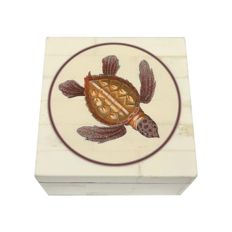 Box Turtle Shell Decorations Sea Turtle Bone Trinket Box, Beach House Decor, Ocean Lover Gift - Etsy