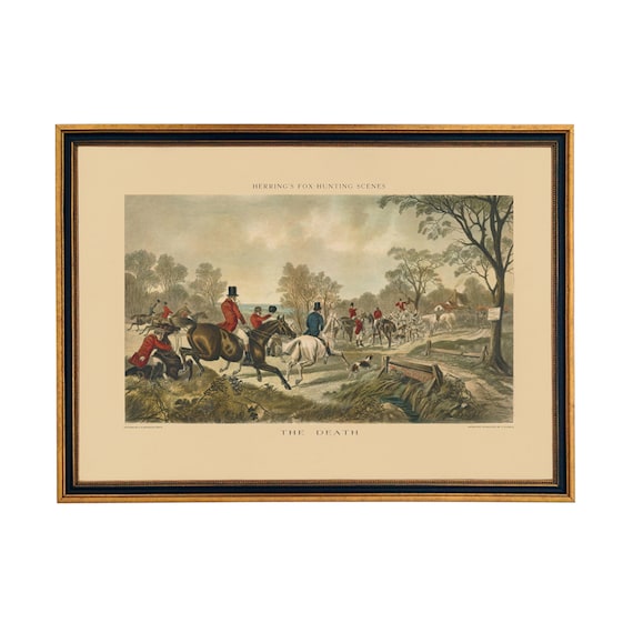 キツネの図版　フランス　アンティーク　版画　1880年　動物　博物画　額縁 1801年 Buffon 一般と個別の博物誌 リス科 リス属 キタリス L