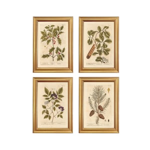 Set di 4 stampe botaniche invernali con cornice, cornice dorata, parete galleria invernale, decorazioni invernali, parete galleria natalizia, arte murale invernale