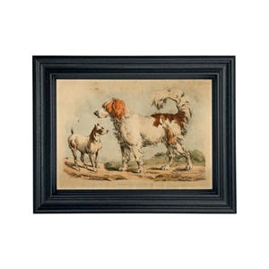 May include: A vintage illustration of two dogs. A larger white and brown dog with a long tail stands on the right side of the image. A smaller white and brown dog with a short tail stands on the left side of the image. Both dogs are looking at each other. The illustration is framed in a black frame.