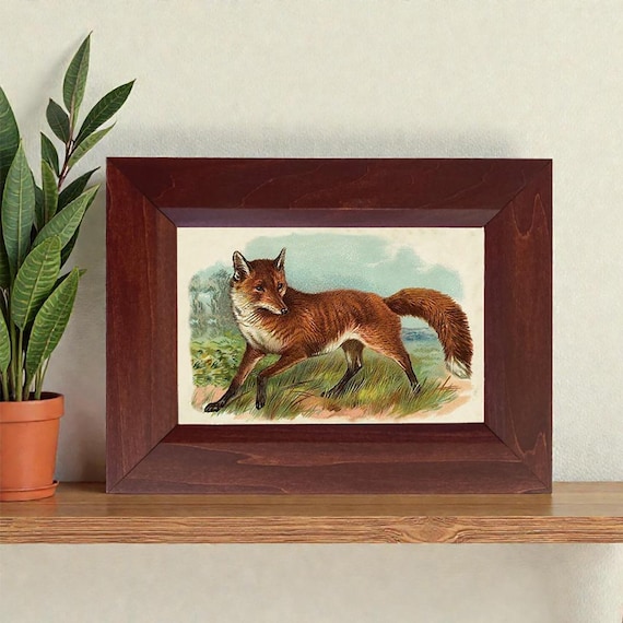 Framed Fox Print, Vintage Fox Illustration, Cabin Decor