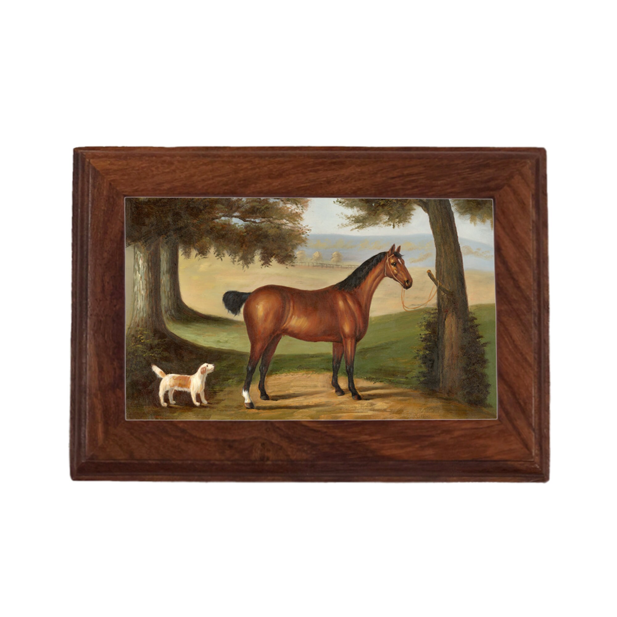 Caballo De Juguete Casero Hecho De Madera. | Foto Premium