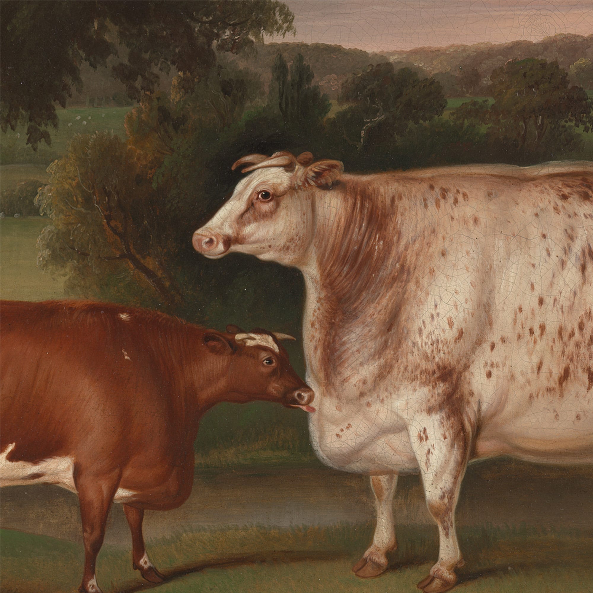 アンティーク】額装 額縁 絵画 Patricia Hall 牛 cow 美術品