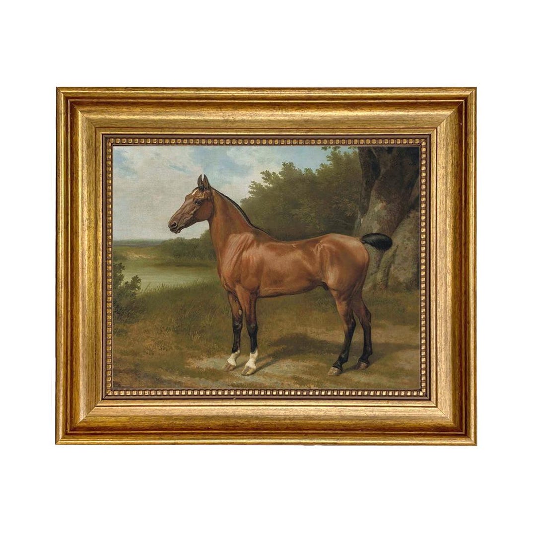 Framed Horse Canvas Print, Equestrian Wall Art Decor, Vintage Horse ...