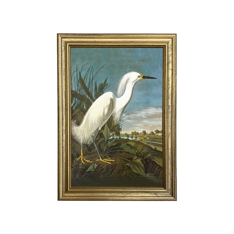 Op de afbeelding: Een ingelijst schilderij van een witte reiger die in een moeras staat. De reiger heeft een lange, slanke nek en een gele snavel. De achtergrond is een blauwe lucht met wolken.