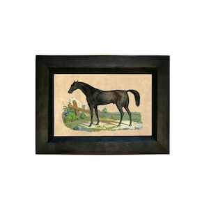 Thoroughbred Horse Framed Print, Small Horse Print, Vintage Style Horse Print, Equestrian Wall Art, Gallery Wall Art, Horse Gift