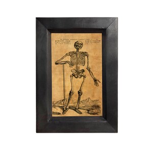 May include: A vintage anatomical illustration of a human skeleton holding a shovel. The image is framed in black and has a beige background with text in Latin.
