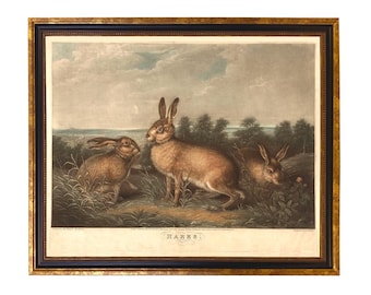 Framed Vintage Rabbit Print, Easter Decor, Spring Wall Art