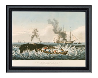 Attacking a Sperm Whale Reproduction Print Framed Behind Glass, Nautical Wall Art, Nautical Decor, Coastal Art, New England