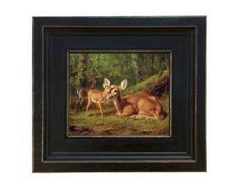 Doe and Twin Fawns Framed Canvas Print, Distressed Black Frame