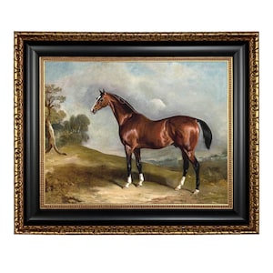 Portrait of Sultan in Landscape Framed Oil Painting Print on Canvas, Horse Portrait, Horse Wall Art, Equestrian Wall Art, Equestrian Decor
