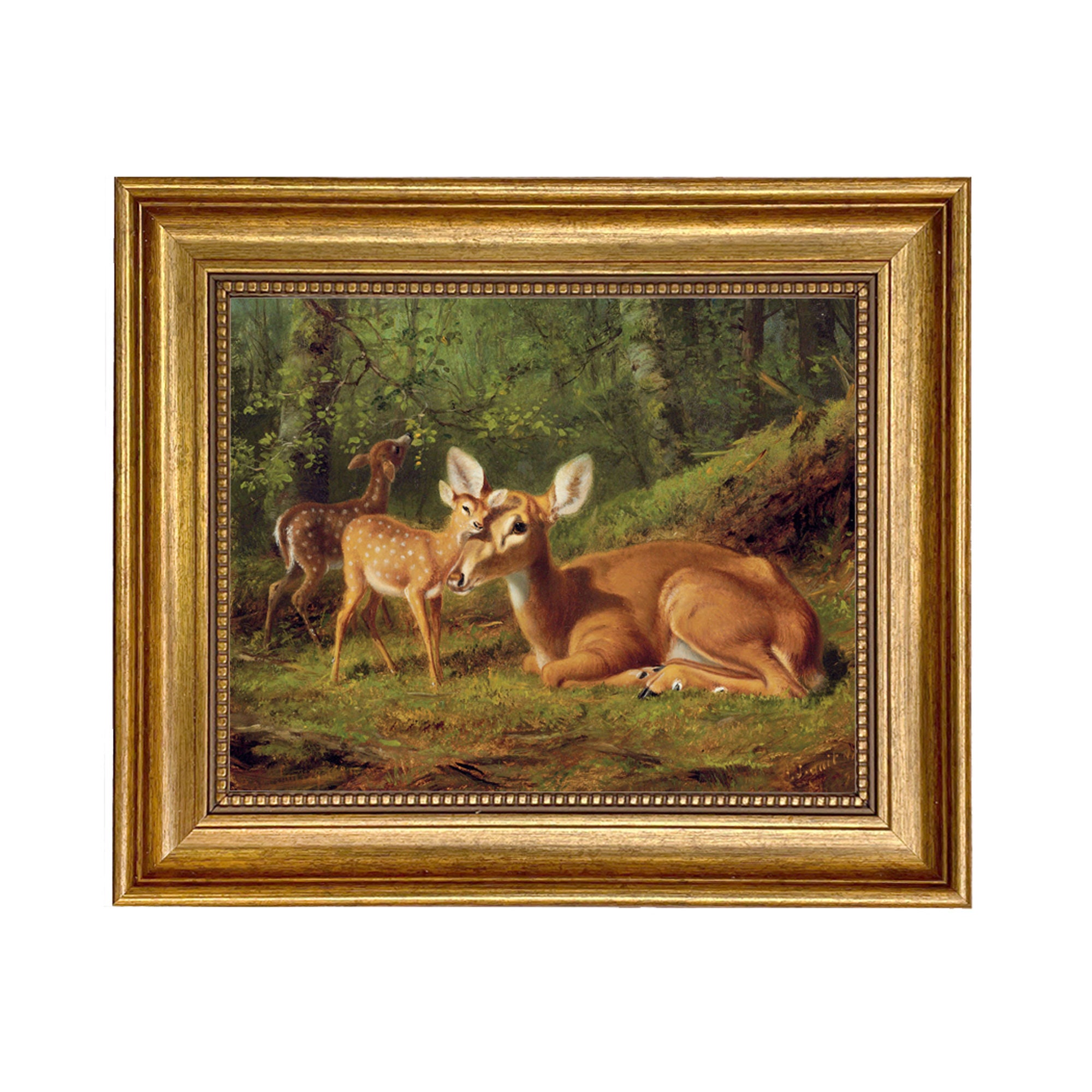 Doe and Twin Fawns Framed Canvas Print: Cabin Lodge Nursery Decor