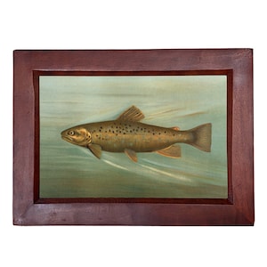 Bachforelle gerahmter Druck, Fischwandkunst, Fischerkabinendekor, rustikales Hüttendekor, Seehauswandkunst, Angelngeschenk