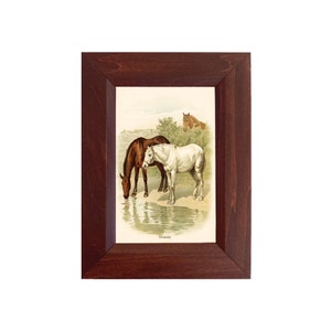 Three Horses Vintage Style Illustration 4&quot;x6&quot; Framed Print, Equestrian, Gallery Wall, Wall Art, Decor