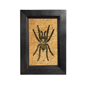 Hairy Spider Halloween Small Framed Print Behind Glass, Dark Academia, Gothic Decor, Goth Wall Art, Dark, Moody, Wall Art, Decor