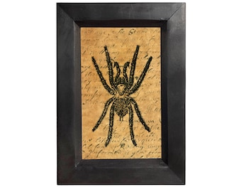 Hairy Spider Halloween Framed Art Print, Dark Academia Gothic Decor