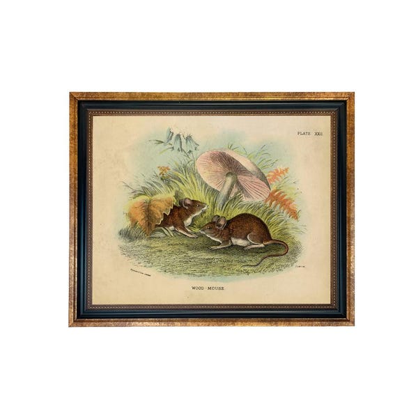 Framed Mouse and Mushroom Print, Vintage Style Cottagecore Wall Art