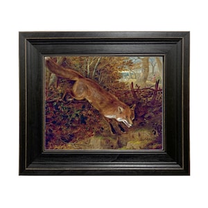 Fox Breaking for Cover Framed Oil Painting Print on Canvas in Distressed Black Wood Frame