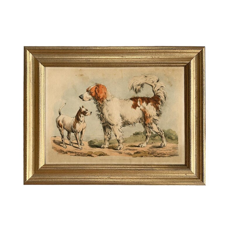May include: A framed print of a vintage illustration of two dogs. The larger dog is white with brown markings and has its tail curled over its back. The smaller dog is white with black markings and is standing to the left of the larger dog. The print is framed in a gold frame.