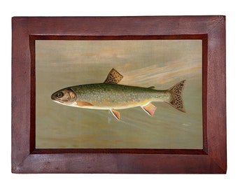 American Brook Trout Reproduction Print, Framed Behind Glass