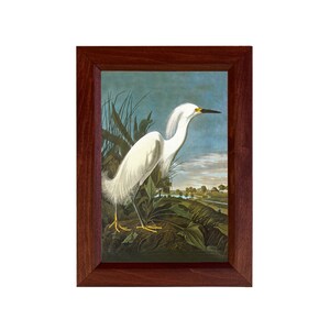 Op de afbeelding: Een ingelijste print van een witte reiger die op een tak in een moeras staat. De vogel heeft een lange, slanke nek en een lange, puntige snavel. De achtergrond is een blauwe lucht met witte wolken.