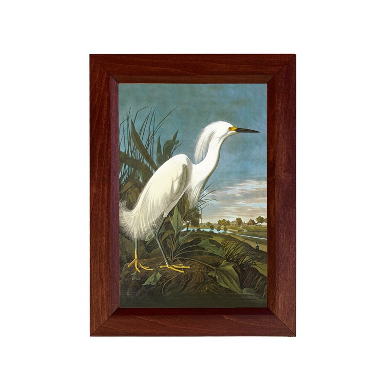Op de afbeelding: Een ingelijste print van een witte reiger die op een tak in een moeras staat. De vogel heeft een lange, slanke nek en een lange, puntige snavel. De achtergrond is een blauwe lucht met witte wolken.