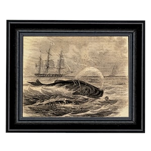 Pursuit of the Sperm Whale Framed Print, Vintage Style, Whaling Art, Nautical Wall Art, Nautical Decor, Coastal New England, Nautical Gift