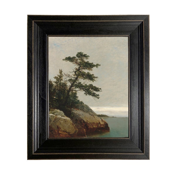 The Old Pine Oil Painting Print on Canvas in Distressed Black Frame