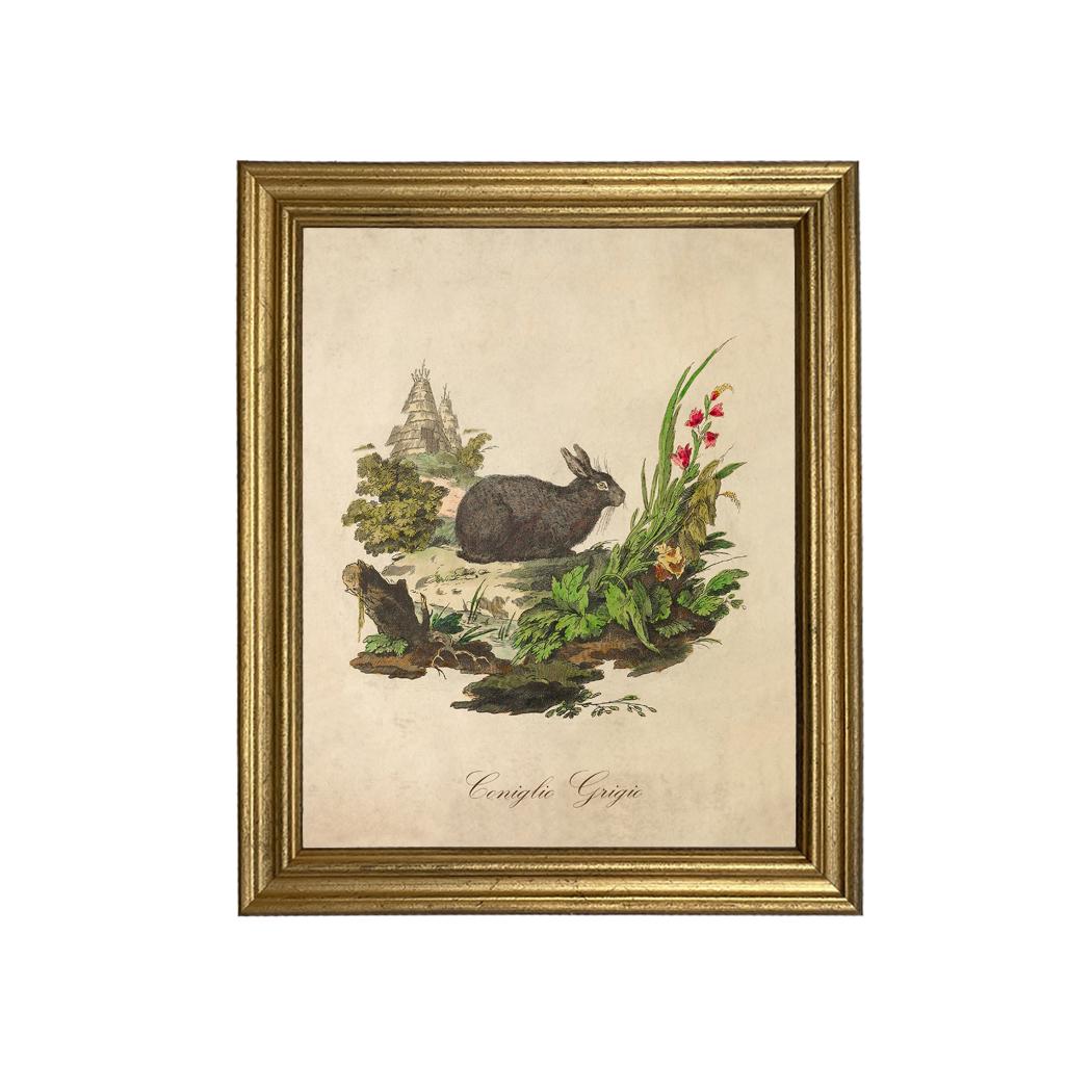 Vintage Italian Rabbit Art Print Set: Framed Spring Wall Art - Etsy