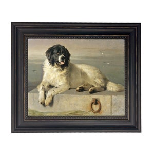 Newfoundland Framed Oil Painting Print on Canvas in Distressed Black Frame with Bead Accent