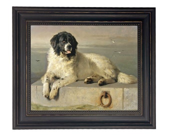 Newfoundland Framed Canvas Print, Vintage Dog Art