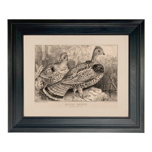 Ruffed Grouse Vintage Currier & Ives gerahmter Reproduktionsdruck, gerahmter Kunstdruck, Bauernhausdekor, Bauernhauswandkunst, Hüttenwandkunst