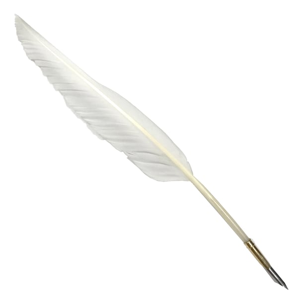 Plume d'oie en plumes d'oie de 30 cm (12 po.) avec porte-plume en laiton - Reproduction antique