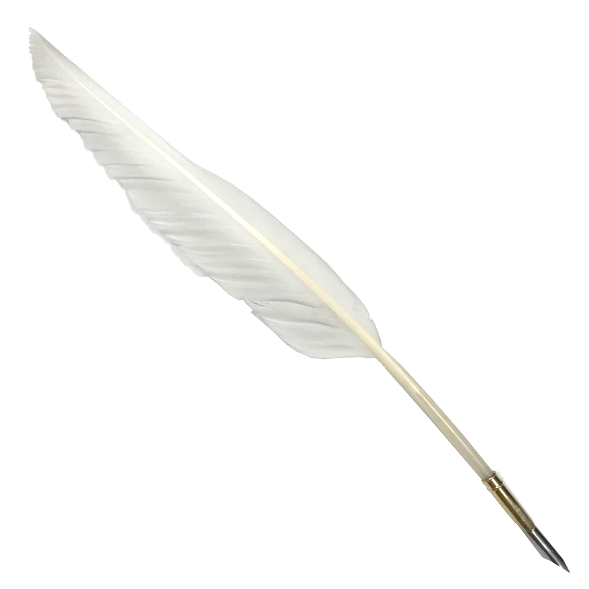 12 Goose Feather Quill With Brass Nib Holder antique Reproduction