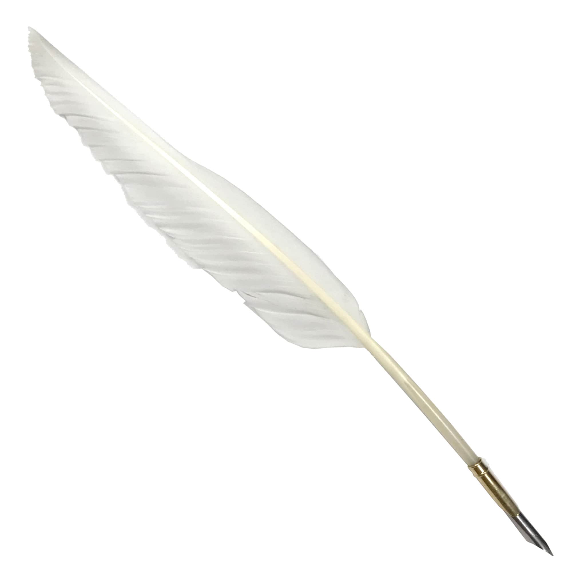 White Feather Quill Pen - Hex: Old World Witchery