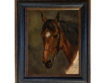 Framed Horse Head Portrait, Equestrian Wall Art, Vintage Horse Print