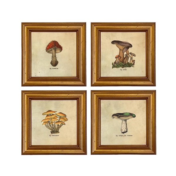 Vintage Mushroom Illustration Framed Prints - Cottagecore Gallery Wall Set