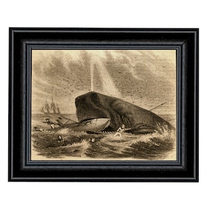 The Whale of Captain DeLois Framed Print Behind Glass, Nautical Wall Art, Coastal Decor, Coastal New England, Antique Style, Gallery Wall