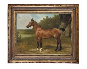 Horse in Landscape Framed Canvas Print, Framed Wall Art, English Country Decor