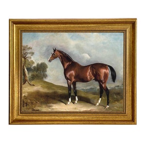 Portrait of Sultan in Landscape Framed Oil Painting Print on Canvas, Framed Horse Print, Horse Portrait, Equestrian Wall Art, Race Horse Art