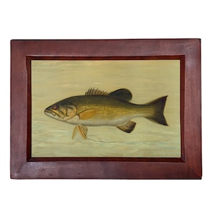 Schwarzbarsch gerahmter Druck, Fischwandkunst, Fischerhüttendekor, rustikales Hüttendekor, Lake House Wandkunst, Angeln Geschenk