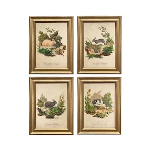 Illustrazioni di conigli italiani, set di 4, stampe di conigli incorniciate, arte di conigli vintage, decorazioni primaverili, decorazioni pasquali, arte murale primaverile
