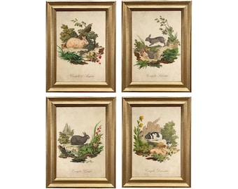 Vintage Italian Rabbit Art Print Set: Framed Spring Wall Art