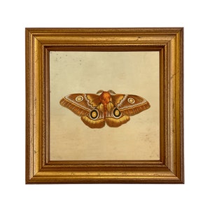 May include: A framed illustration of a brown and white moth with yellow eyes. The moth is centered in the frame and is surrounded by a cream-colored background.