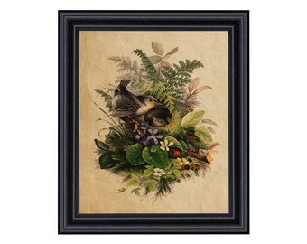 Birds in Nest Cottagecore Framed Reproduction Print, Nursery, Cabin, Wall Art