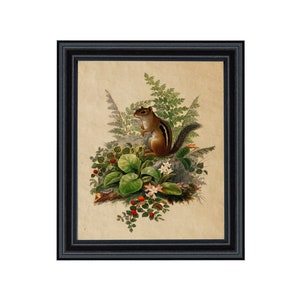 Woodland Chipmunk Cottagecore Framed Reproduction Print, Nursery, Cabin, Wall Art