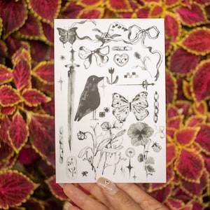 beauté dans les gris Carte postale | Carte postale noir et blanc | Carte postale graphite aquarelle | Printemps Carte postale