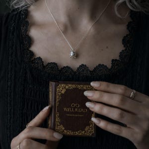 Puede incluir: Un collar de plata con un peque&ntilde;o colgante adornado cuelga sobre un top de encaje negro. Se sostiene un libro marr&oacute;n en miniatura con letras doradas que dice "WELL READ". La portada del libro tiene un borde dorado decorativo.